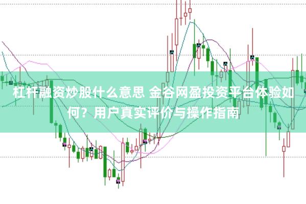 杠杆融资炒股什么意思 金谷网盈投资平台体验如何？用户真实评价与操作指南