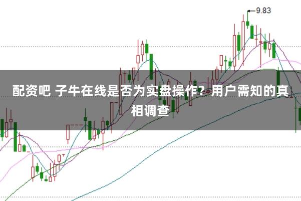 配资吧 子牛在线是否为实盘操作？用户需知的真相调查