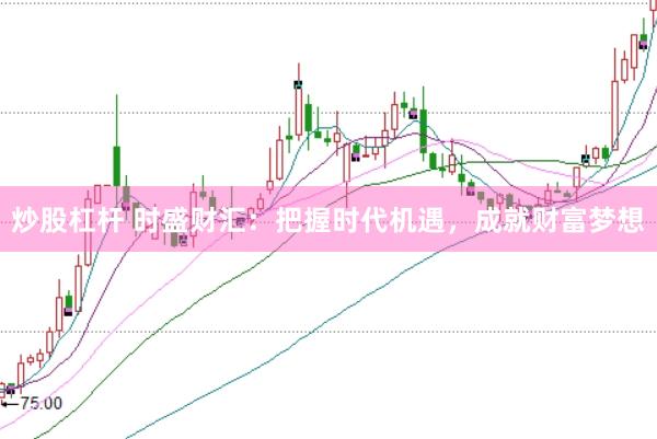 炒股杠杆 时盛财汇：把握时代机遇，成就财富梦想