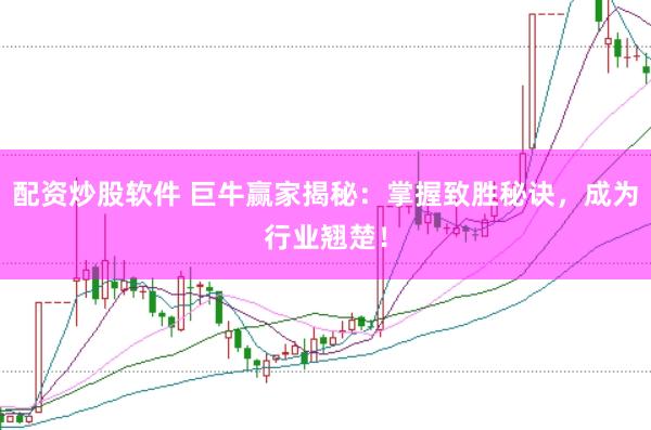 配资炒股软件 巨牛赢家揭秘：掌握致胜秘诀，成为行业翘楚！