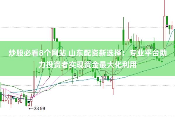 炒股必看8个网站 山东配资新选择：专业平台助力投资者实现资金最大化利用