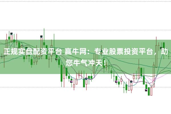 正规实盘配资平台 赢牛网：专业股票投资平台，助您牛气冲天！