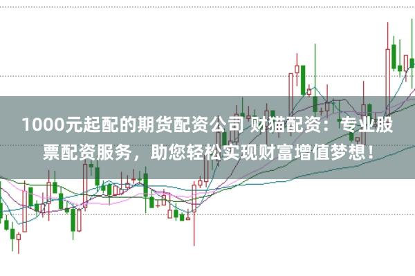 1000元起配的期货配资公司 财猫配资：专业股票配资服务，助您轻松实现财富增值梦想！