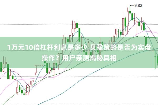 1万元10倍杠杆利息是多少 贝盈策略是否为实盘操作？用户亲测揭秘真相
