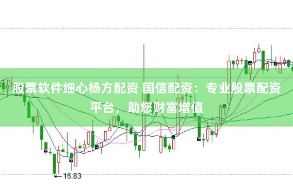 股票软件细心杨方配资 国信配资：专业股票配资平台，助您财富增值