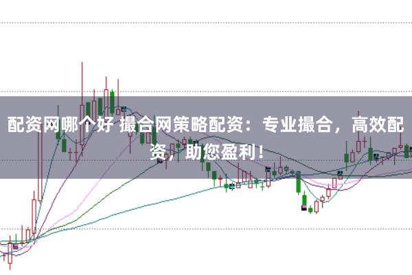 配资网哪个好 撮合网策略配资：专业撮合，高效配资，助您盈利！