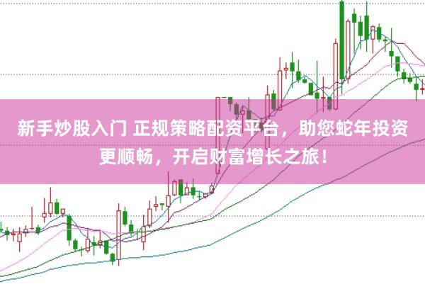 新手炒股入门 正规策略配资平台，助您蛇年投资更顺畅，开启财富增长之旅！