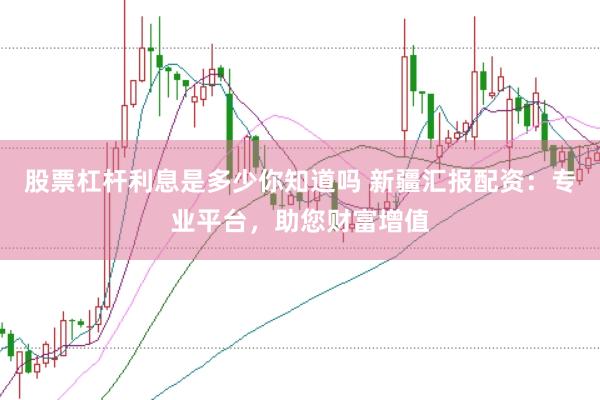股票杠杆利息是多少你知道吗 新疆汇报配资：专业平台，助您财富增值