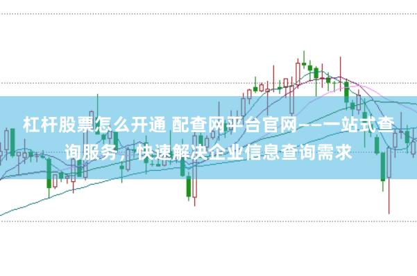 杠杆股票怎么开通 配查网平台官网——一站式查询服务，快速解决企业信息查询需求