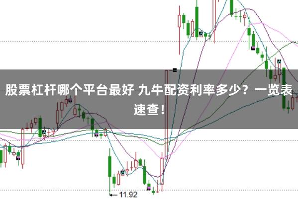 股票杠杆哪个平台最好 九牛配资利率多少？一览表速查！