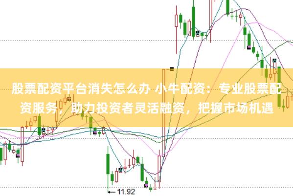 股票配资平台消失怎么办 小牛配资:专业股票配资服务,助力投资者灵活融资,把握市场机遇