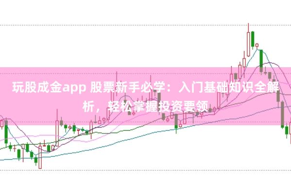 玩股成金app 股票新手必学：入门基础知识全解析，轻松掌握投资要领