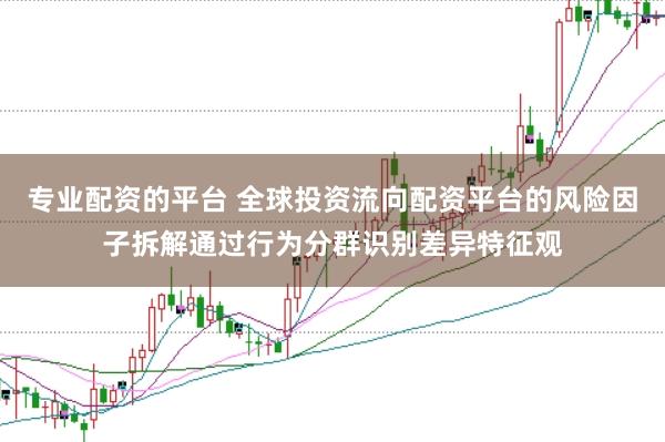 专业配资的平台 全球投资流向配资平台的风险因子拆解通过行为分群识别差异特征观