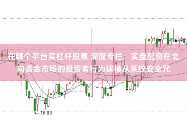在哪个平台买杠杆股票 深度专栏：实盘配资在北向资金市场的投资者行为建模从系统安全冗