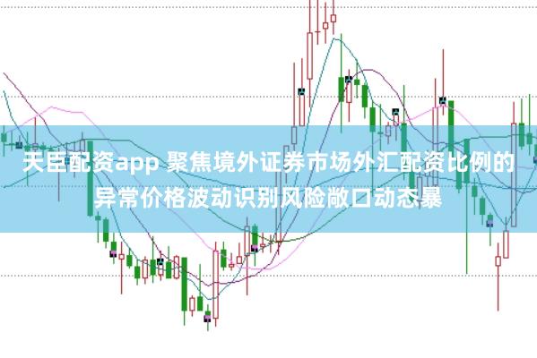 天臣配资app 聚焦境外证券市场外汇配资比例的异常价格波动识别风险敞口动态暴