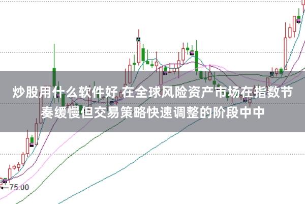 炒股用什么软件好 在全球风险资产市场在指数节奏缓慢但交易策略快速调整的阶段中中