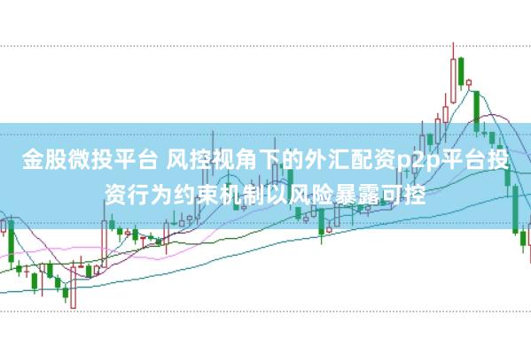 金股微投平台 风控视角下的外汇配资p2p平台投资行为约束机制以风险暴露可控