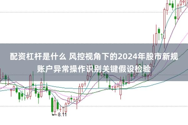 配资杠杆是什么 风控视角下的2024年股市新规账户异常操作识别关键假设检验