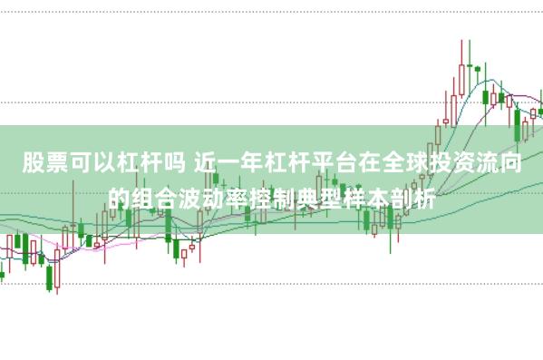 股票可以杠杆吗 近一年杠杆平台在全球投资流向的组合波动率控制典型样本剖析