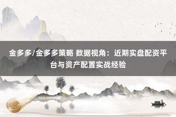 金多多/金多多策略 数据视角：近期实盘配资平台与资产配置实战经验