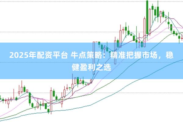 2025年配资平台 牛点策略：精准把握市场，稳健盈利之选