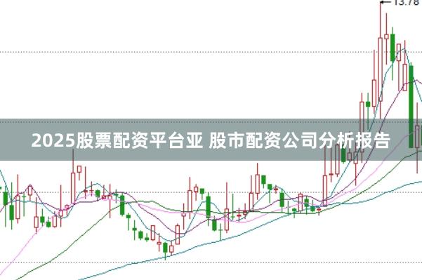 2025股票配资平台亚 股市配资公司分析报告