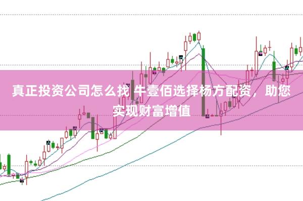 真正投资公司怎么找 牛壹佰选择杨方配资，助您实现财富增值