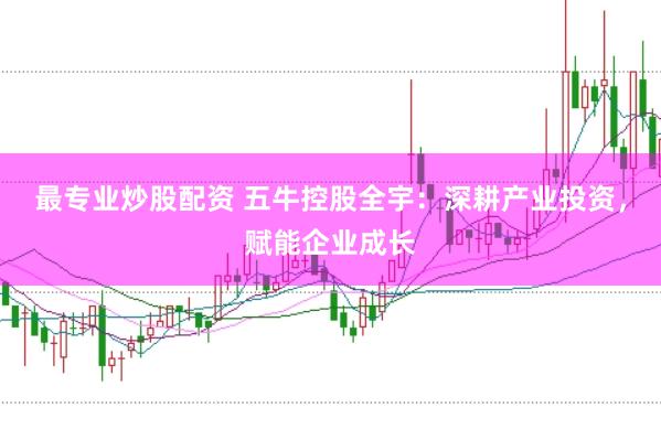 最专业炒股配资 五牛控股全宇：深耕产业投资，赋能企业成长